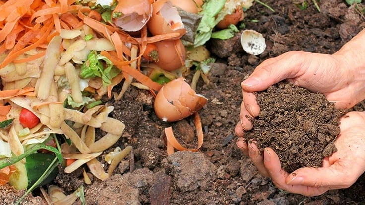 Through ReSoil, Green Energy Biofuel's recently acquired composting facility, the company can offer landfill-free disposal options for organic waste from large, corporate generators.