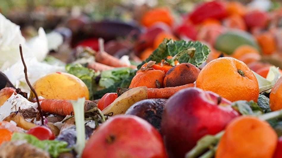 fruit and vegetable food waste