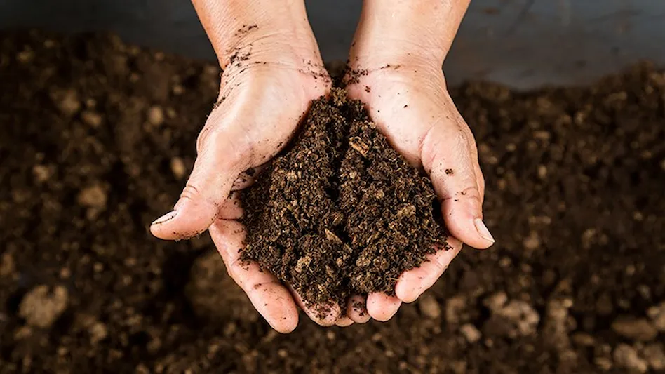 hands holding compost soil