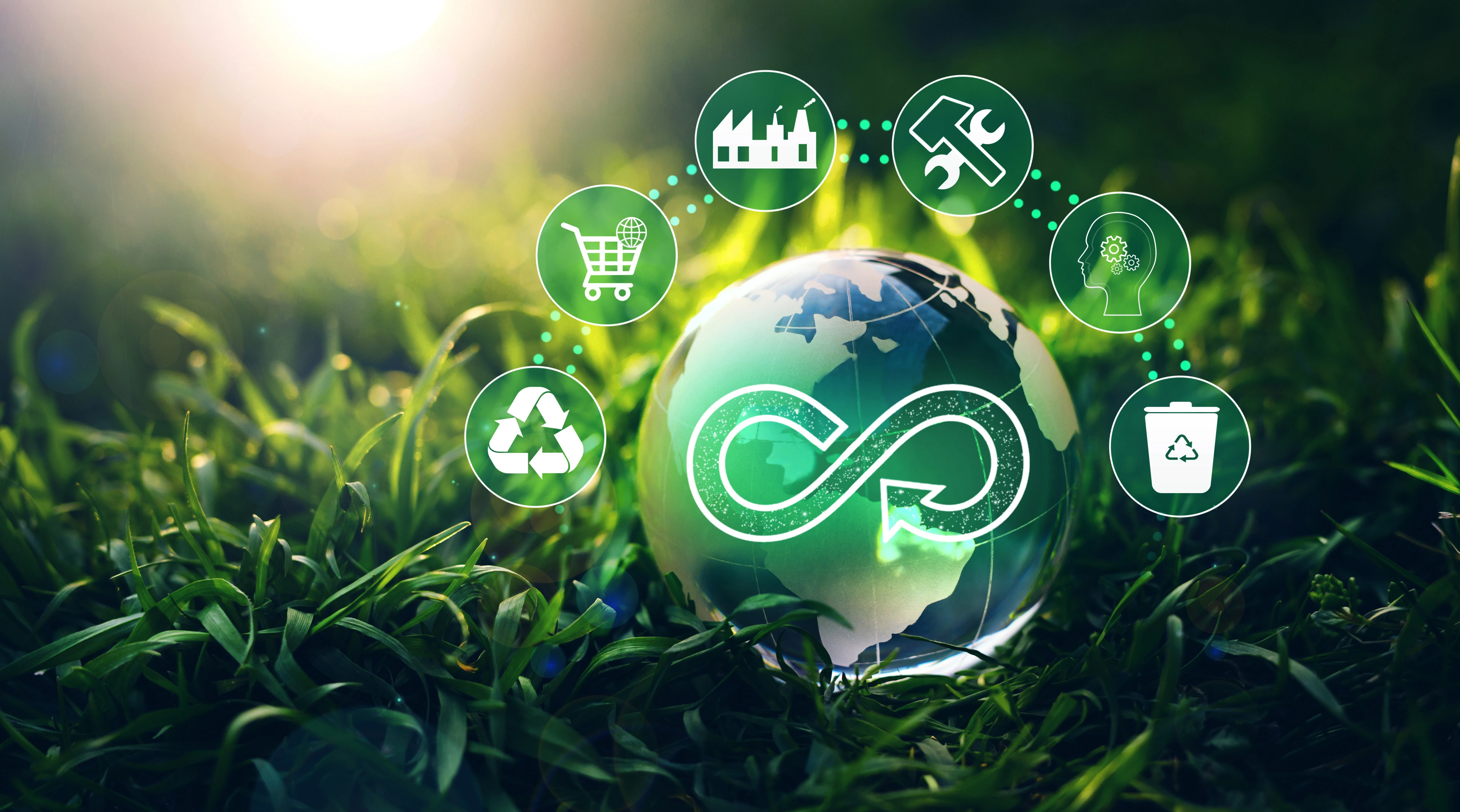 graphic with sustainability logos on a green plant background