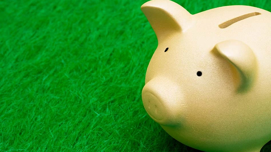 piggy bank on grass