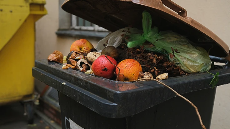 Organic waste bin filled with kitchen waste