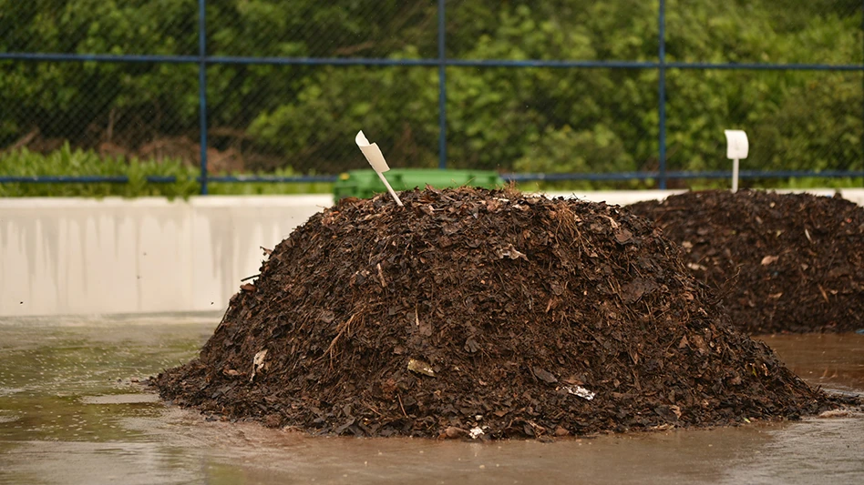 pile of compost