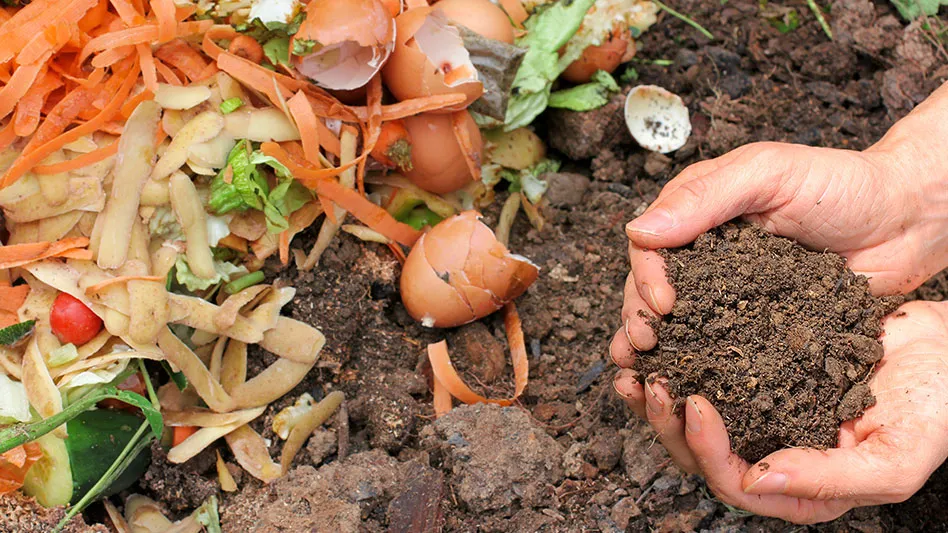 food scraps and compost in a hand