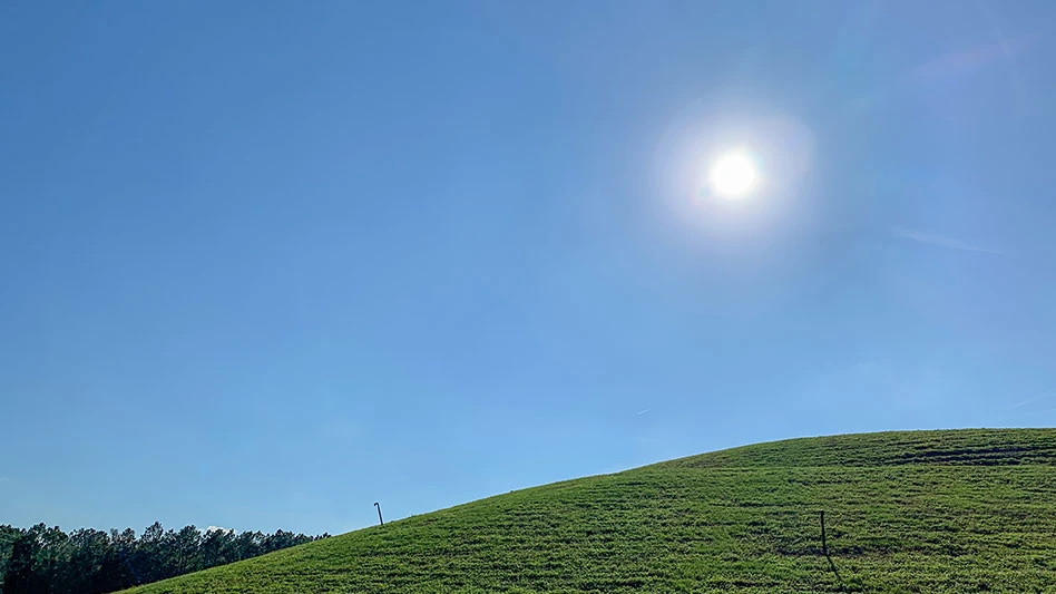 landfill on sunny day