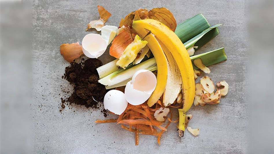 fruit vegetable scraps